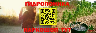 гидра Краснознаменск