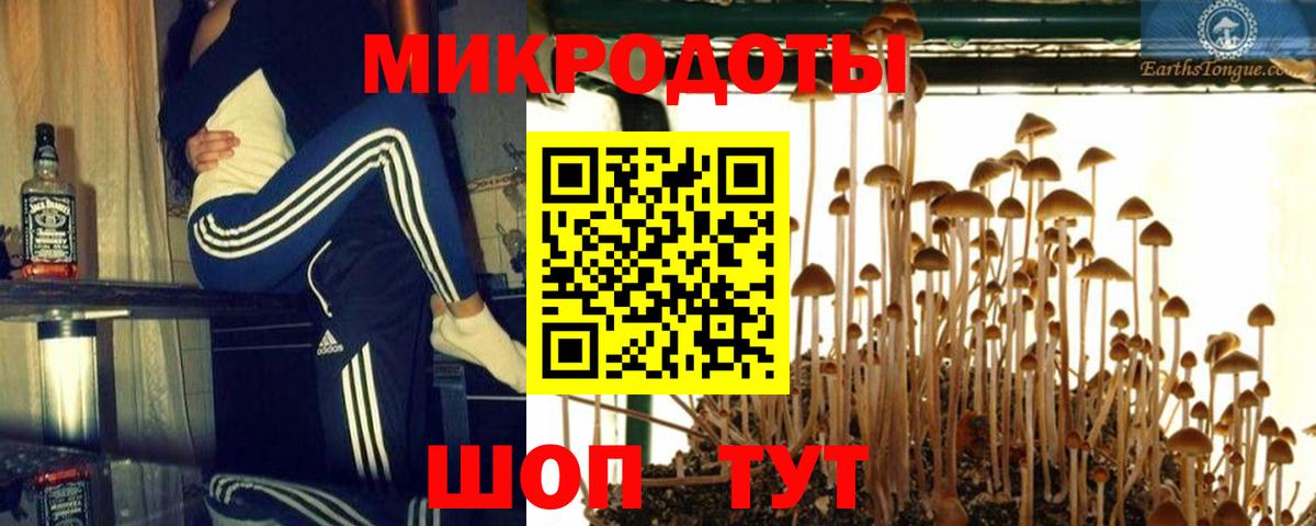 Галлюциногенные грибы мицелий  Вход с VPN  Сыктывкар 