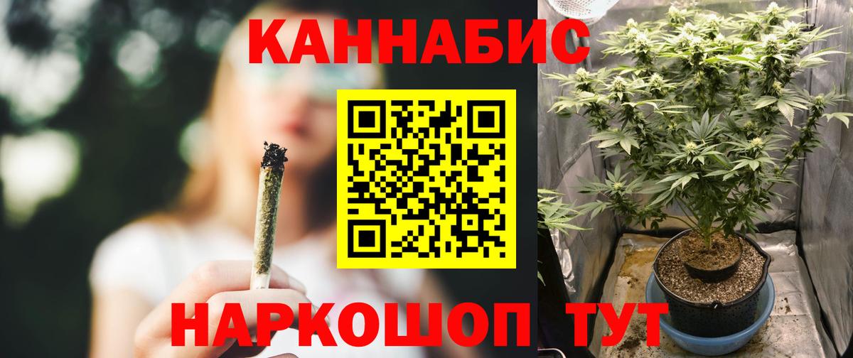 Канабис MAZAR Сыктывкар